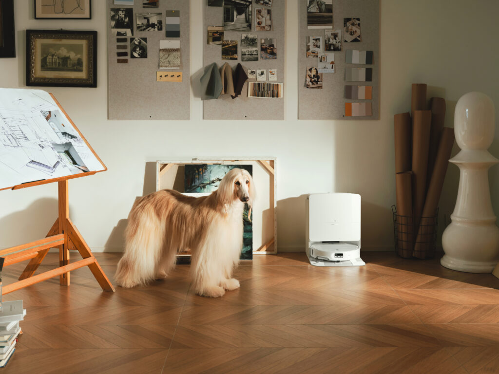 תמונה של שואב עם תחנת עגינה לצד כלב 